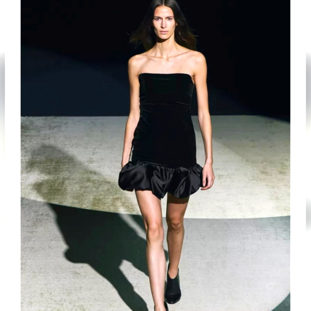 NWT ZARA VELVET MINI DRESS ZW COLLECTION